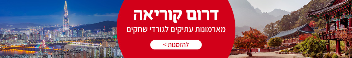 מאורגנים לדרום קוריאה
