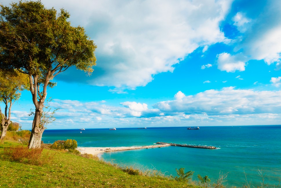 דילים לורנה